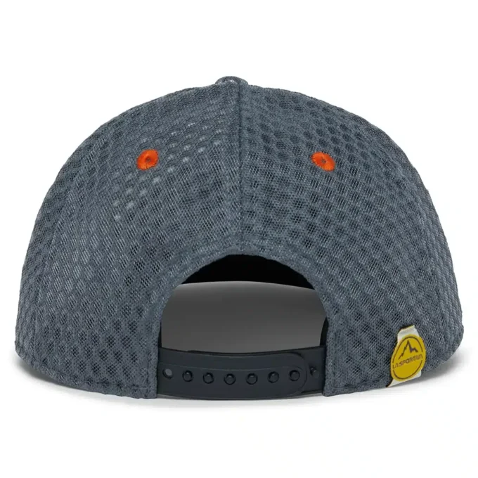 Gorra Hive