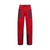 Pantalones Alpine Guide GTX Performance M