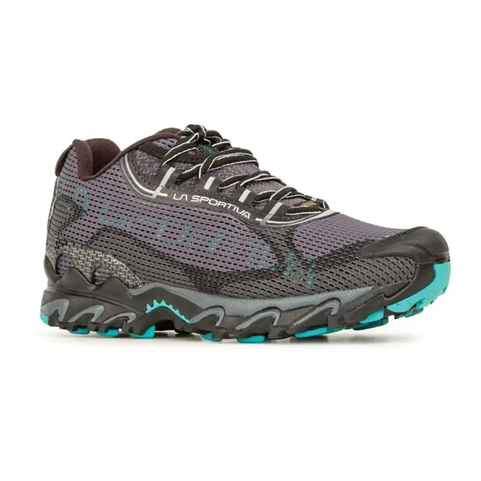 Wildcat 2.0 GTX Mujer (2023)